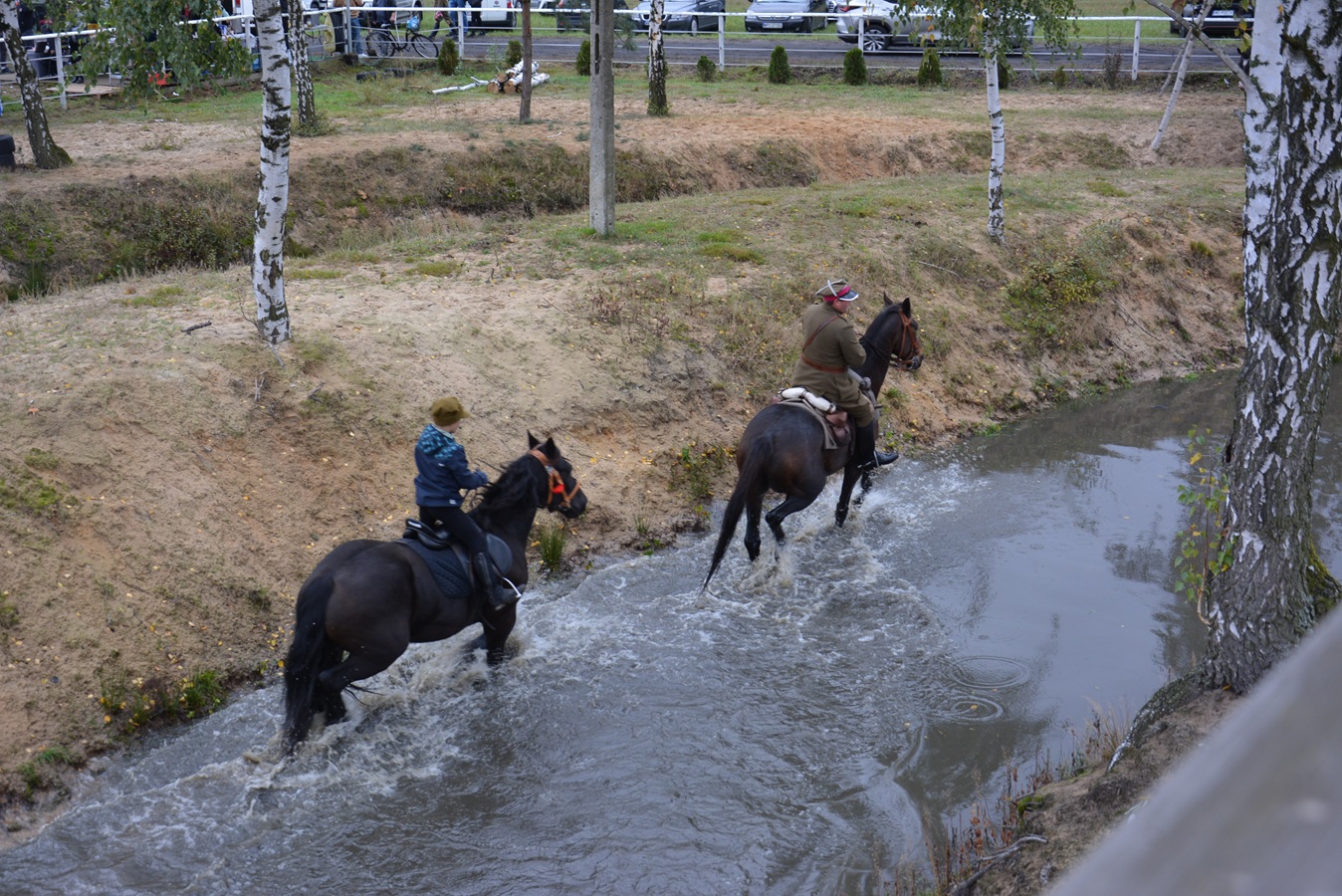 DSC_0466.JPG (599 KB)