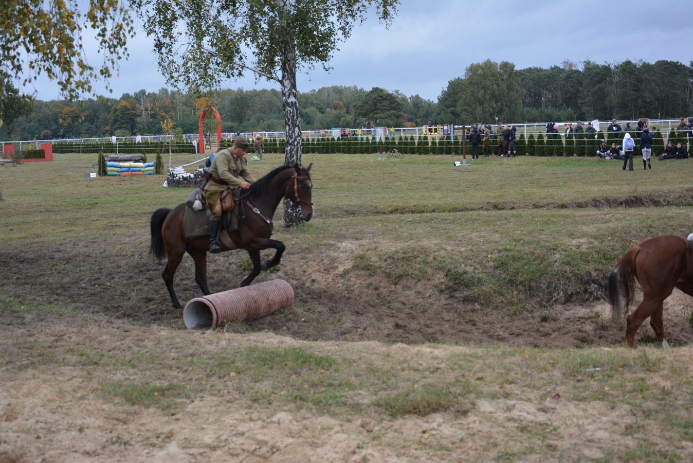 DSC_0493.JPG (480 KB)