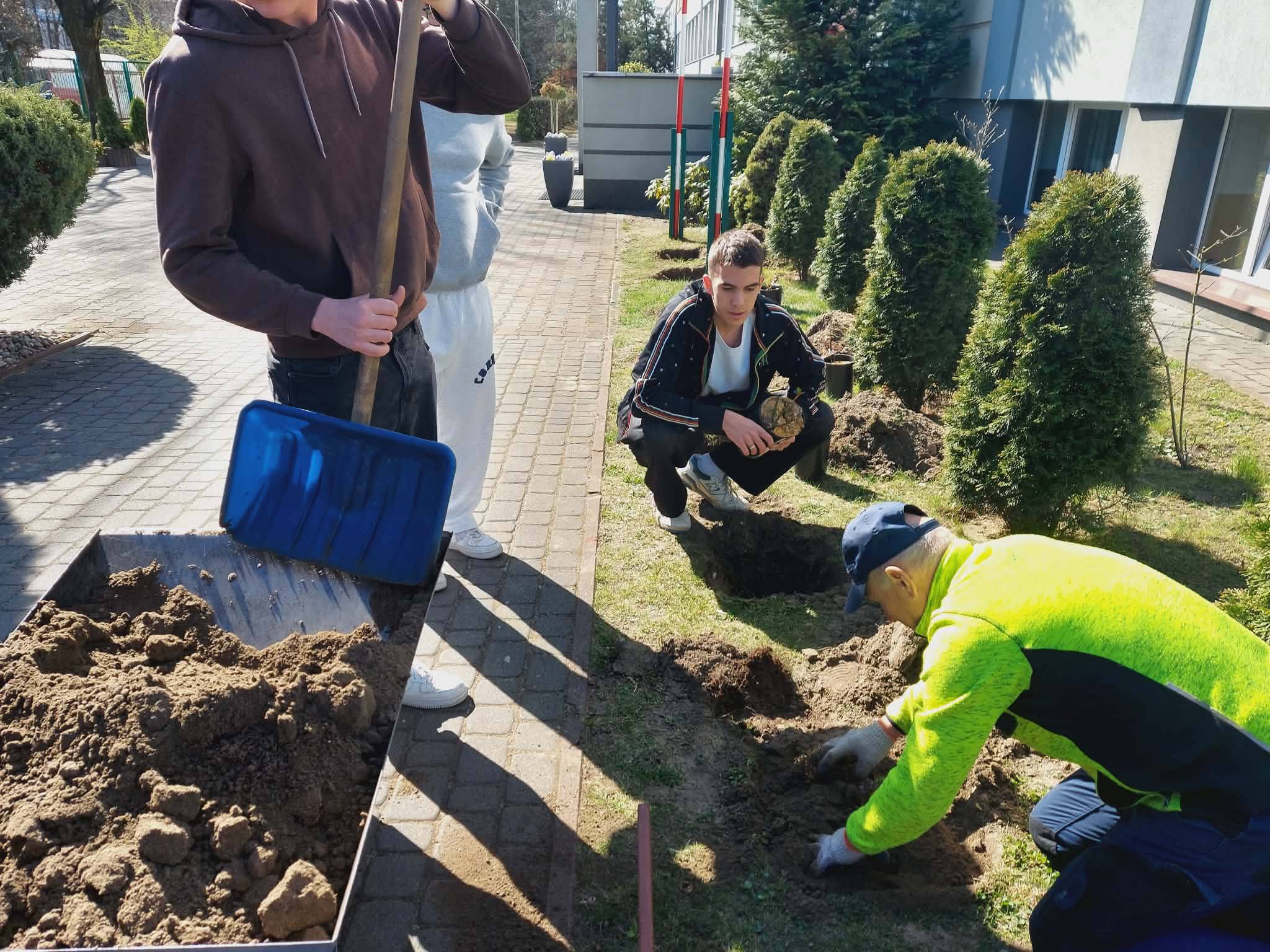 r&oacute;że (1).jpg (428 KB)