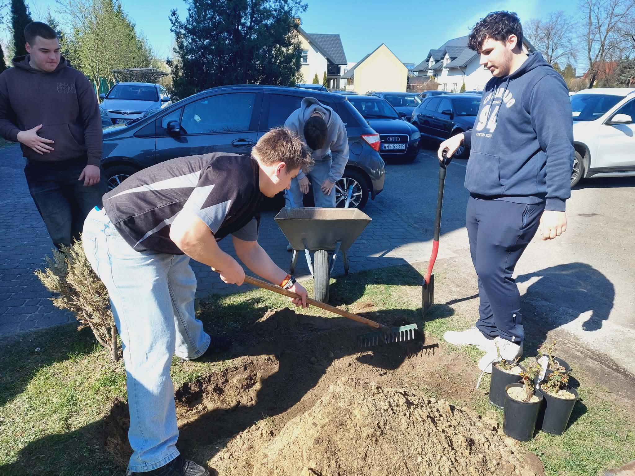 r&oacute;że (2).jpg (481 KB)