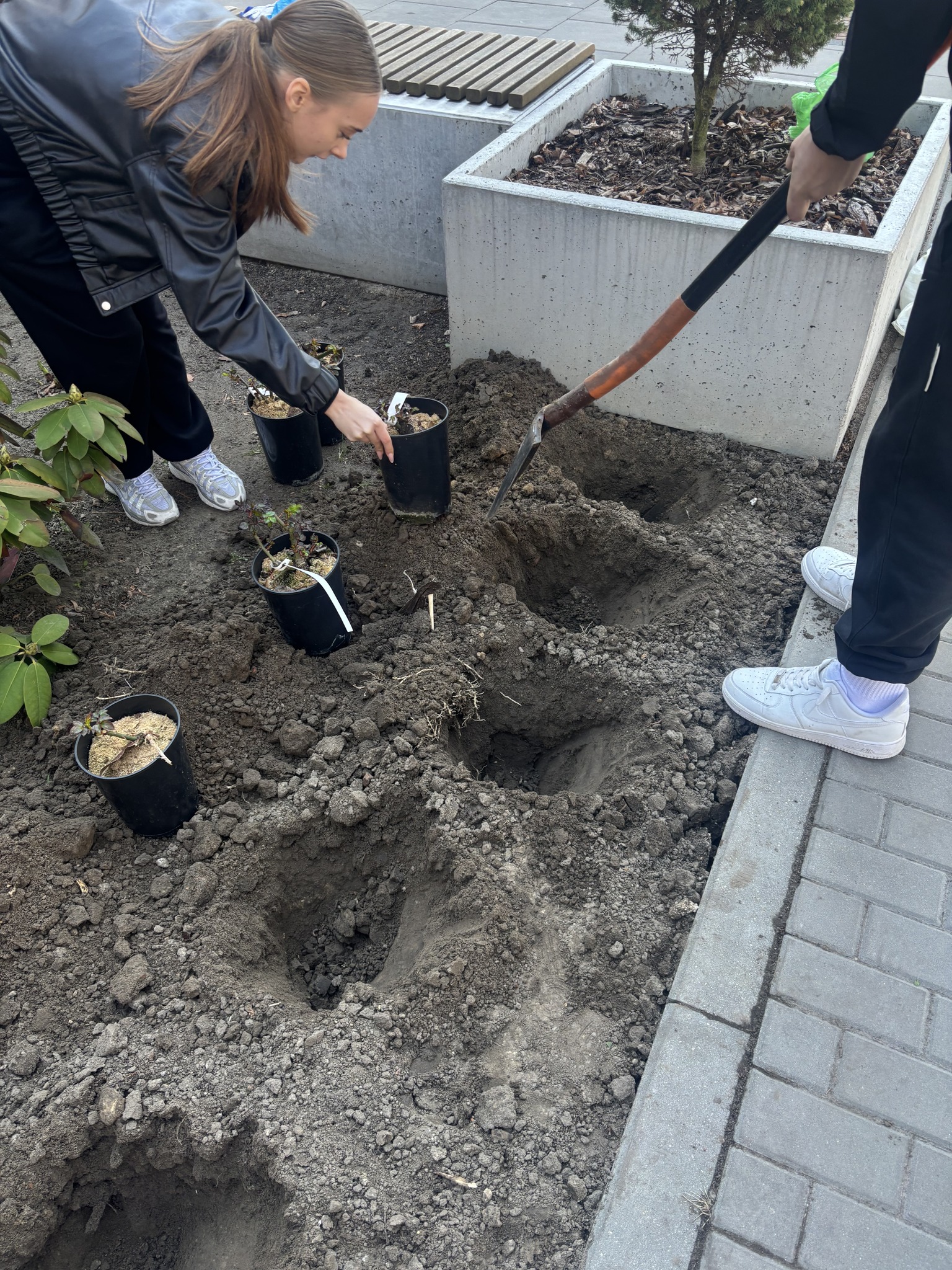 r&oacute;że (3).jpg (1.16 MB)